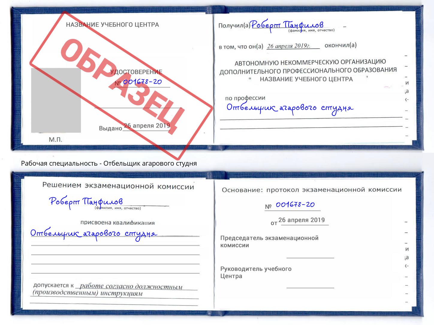 Отбельщик агарового студня Большой Камень