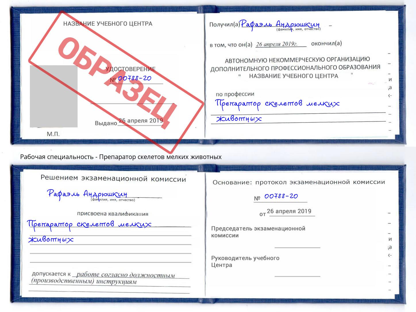 Препаратор скелетов мелких животных Большой Камень