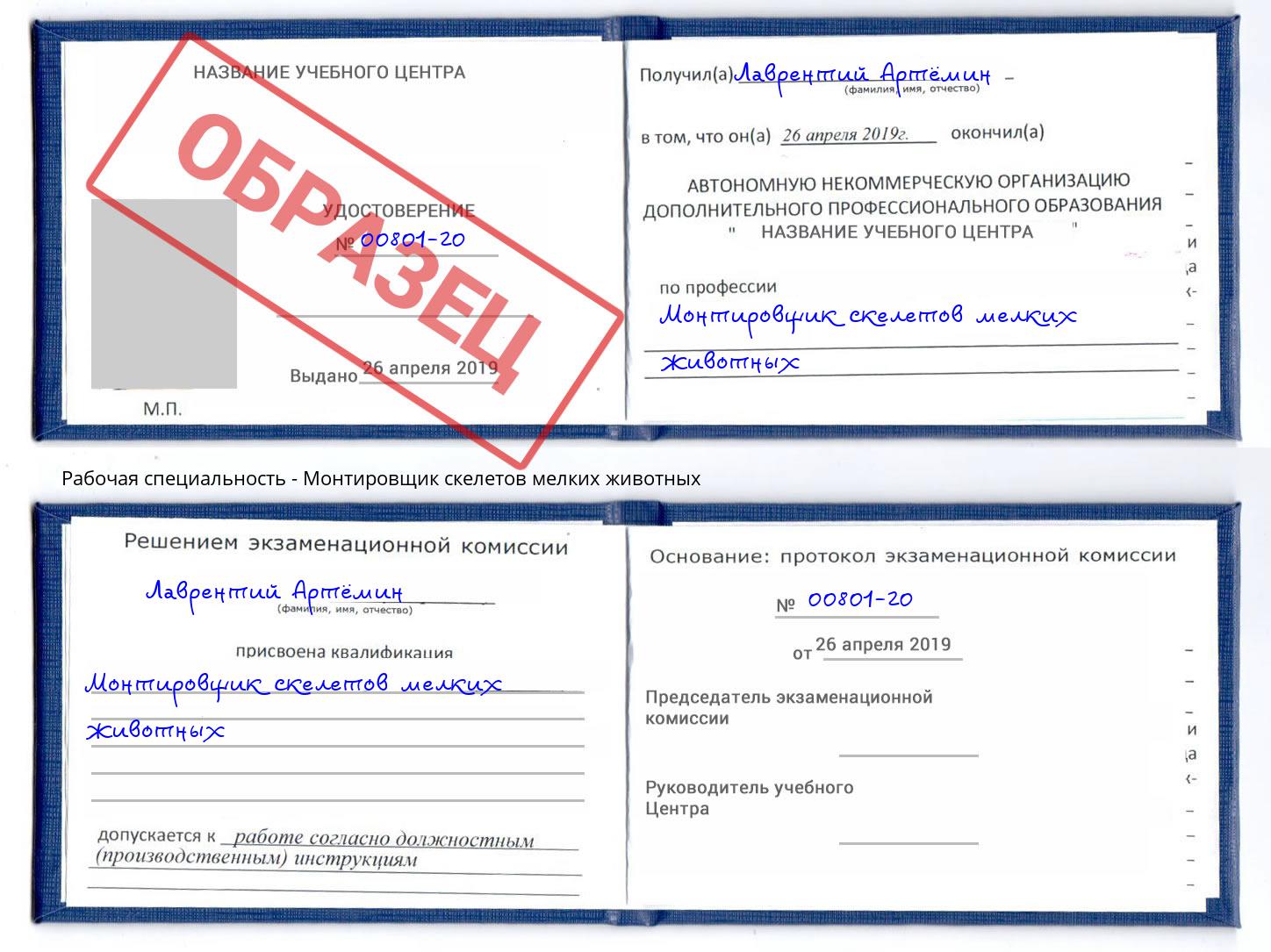 Монтировщик скелетов мелких животных Большой Камень