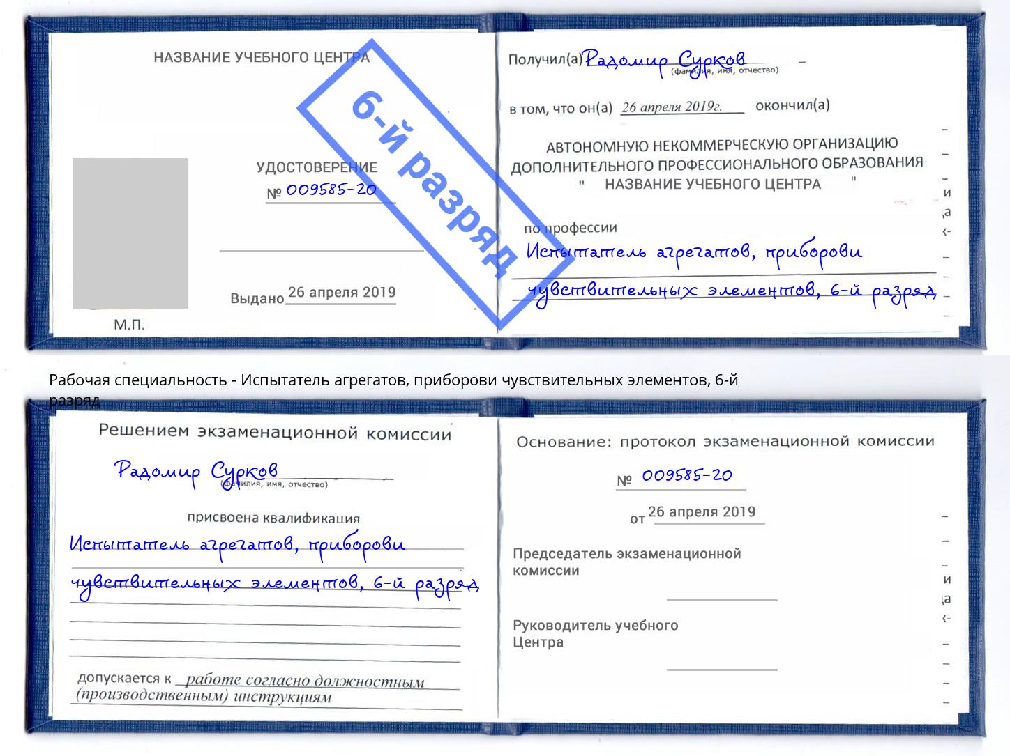 корочка 6-й разряд Испытатель агрегатов, приборови чувствительных элементов Большой Камень