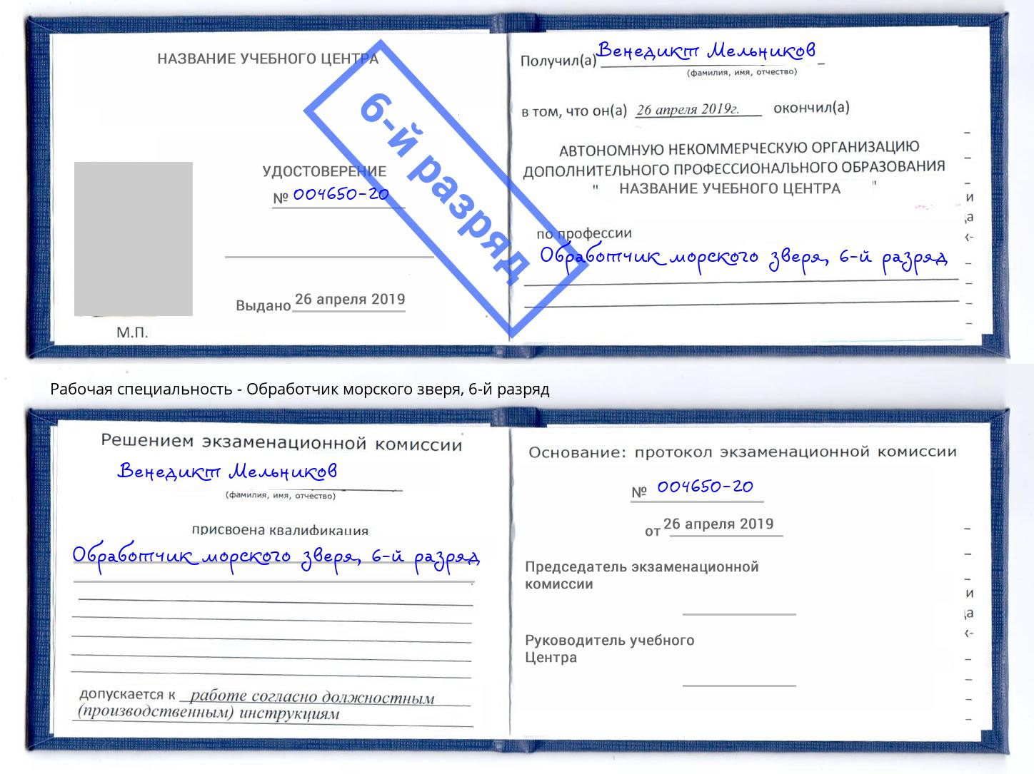 корочка 6-й разряд Обработчик морского зверя Большой Камень