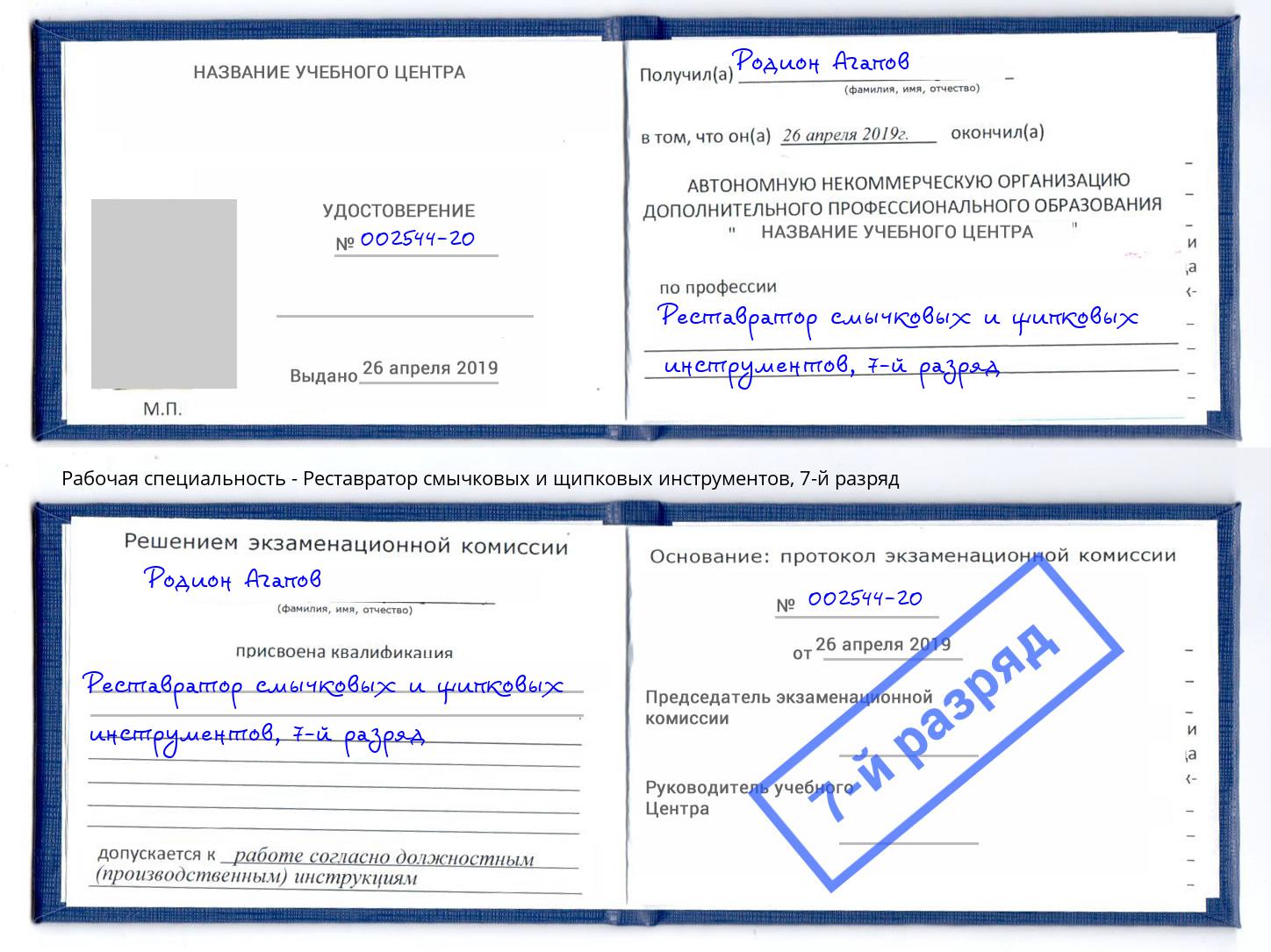 корочка 7-й разряд Реставратор смычковых и щипковых инструментов Большой Камень