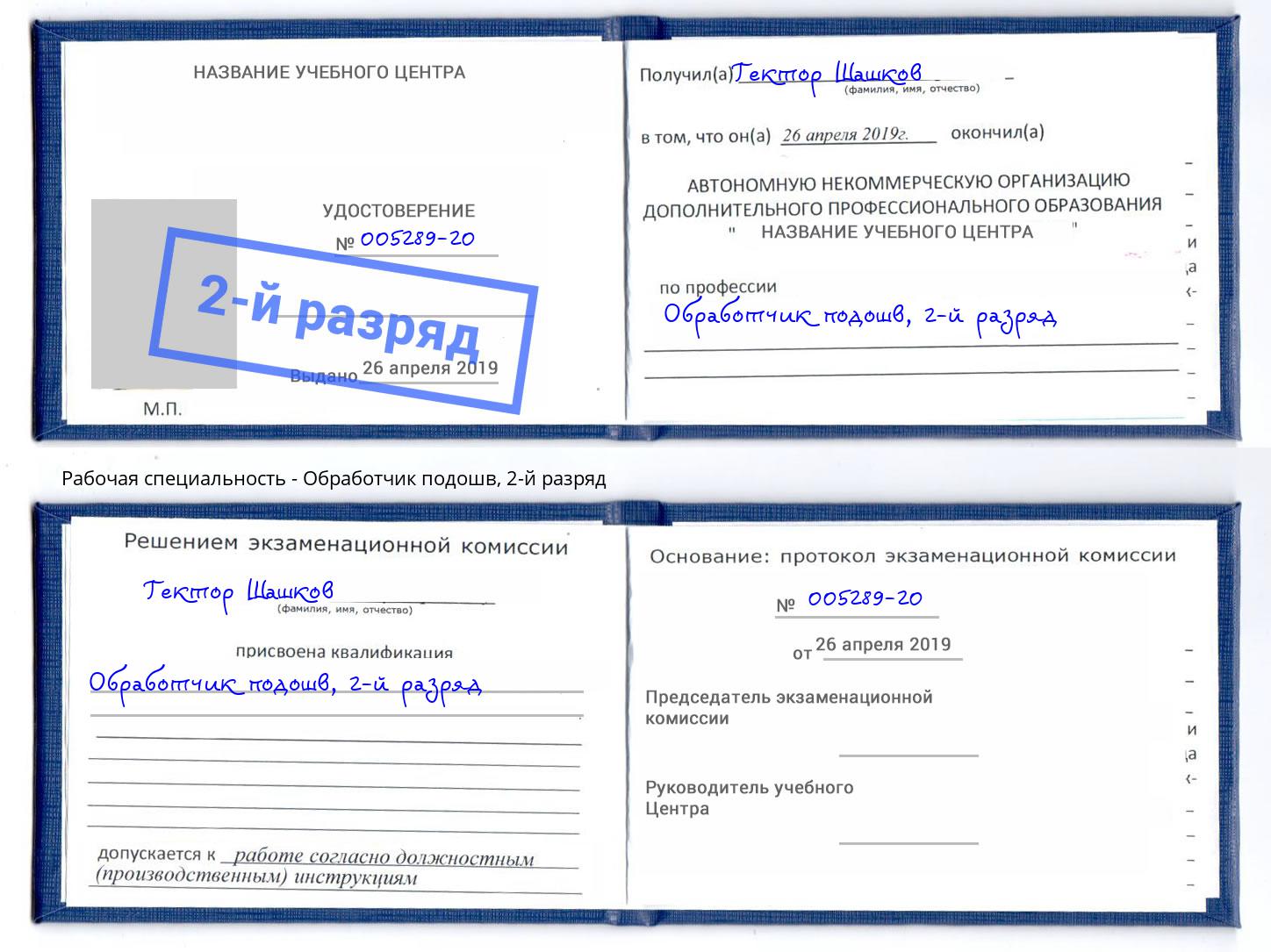 корочка 2-й разряд Обработчик подошв Большой Камень