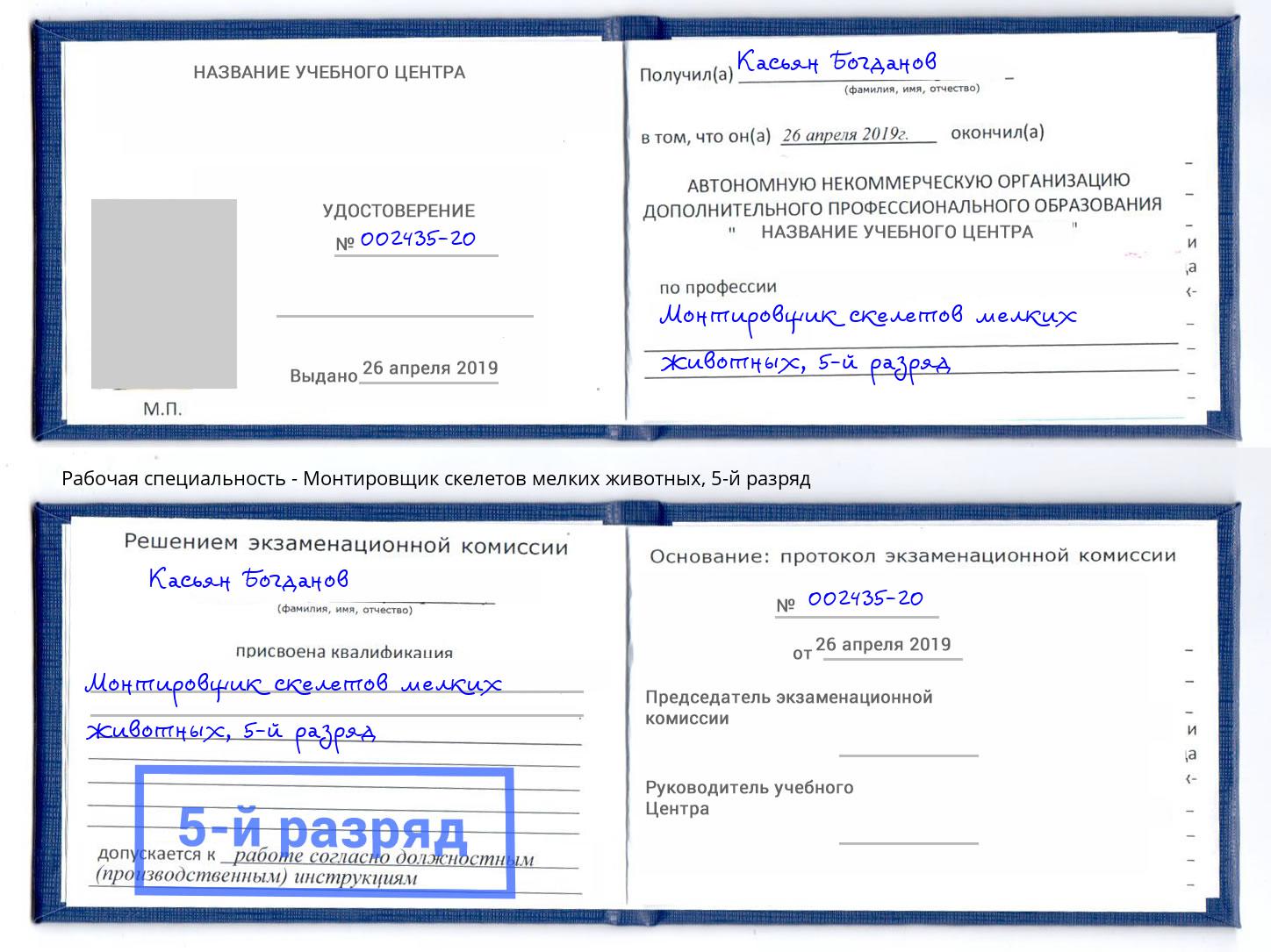 корочка 5-й разряд Монтировщик скелетов мелких животных Большой Камень