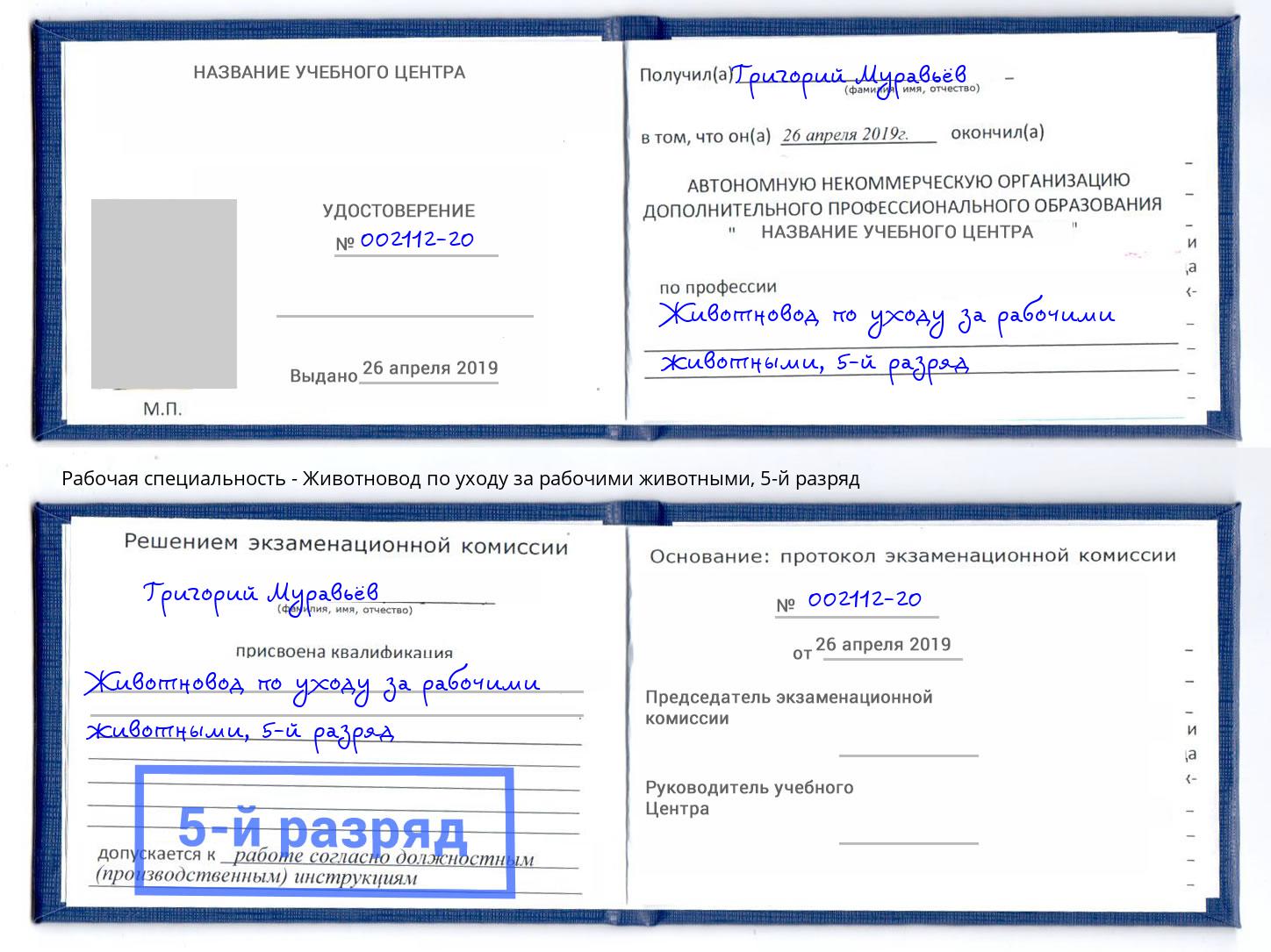 корочка 5-й разряд Животновод по уходу за рабочими животными Большой Камень
