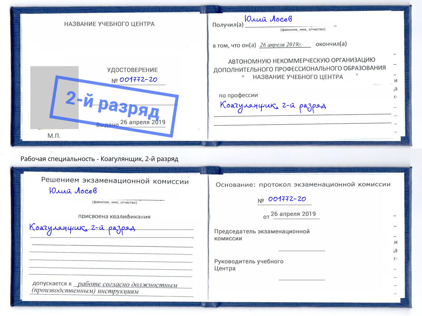 корочка 2-й разряд Коагулянщик Большой Камень