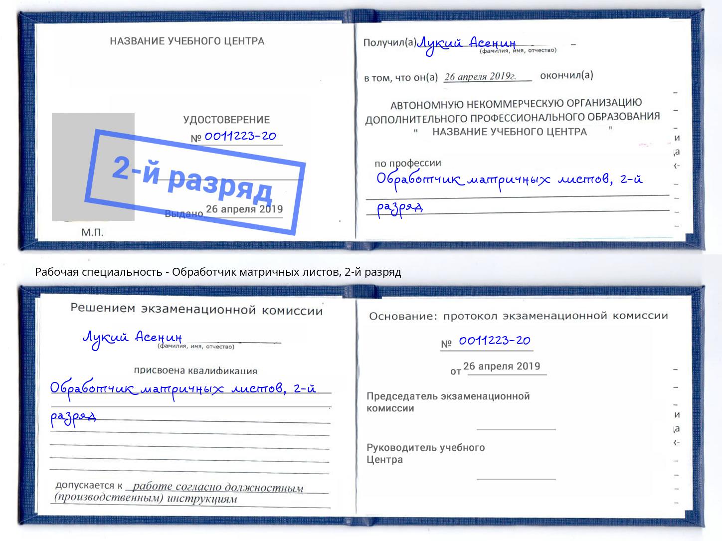 корочка 2-й разряд Обработчик матричных листов Большой Камень