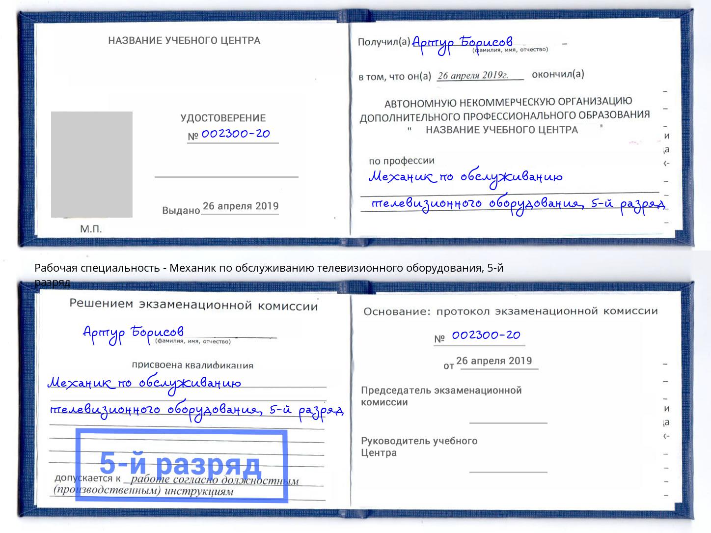 корочка 5-й разряд Механик по обслуживанию телевизионного оборудования Большой Камень