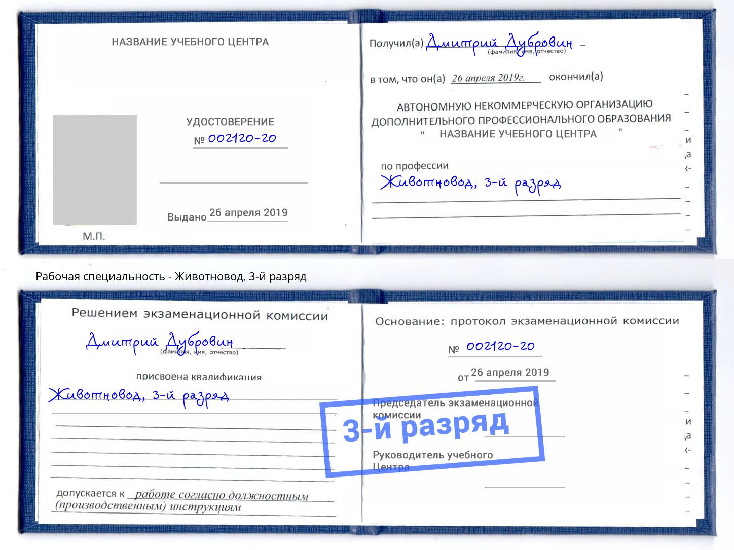 корочка 3-й разряд Животновод Большой Камень